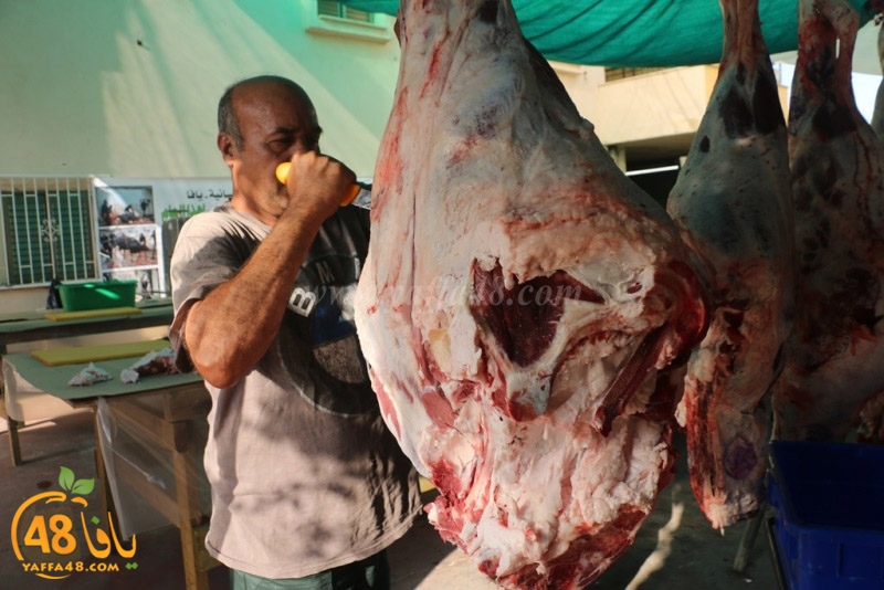 lod8om ada73y (79).JPG